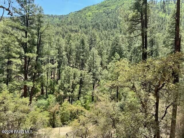 Property Photo:  0 E Poland Road  AZ 86333 