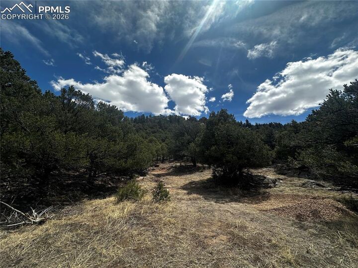 Property Photo:  938 Shoshone Drive  CO 81212 