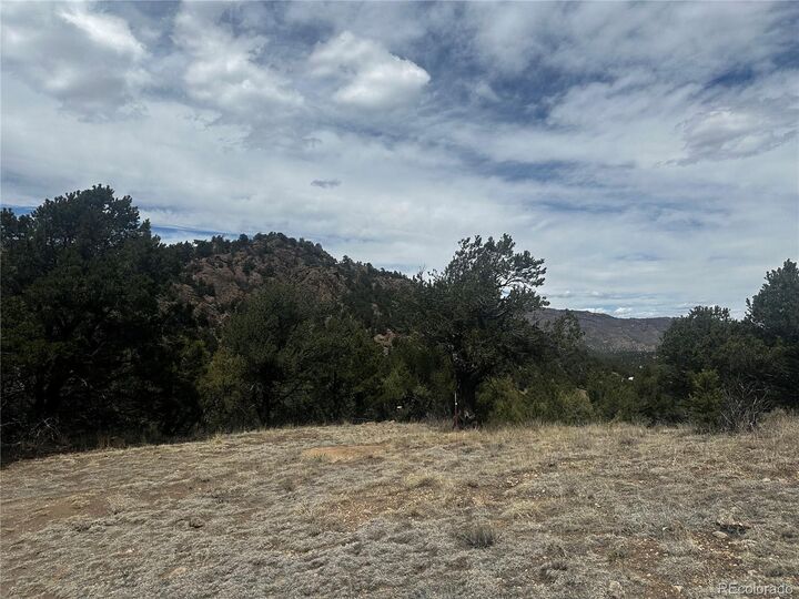 Property Photo:  938 Shoshone Drive  CO 81212 