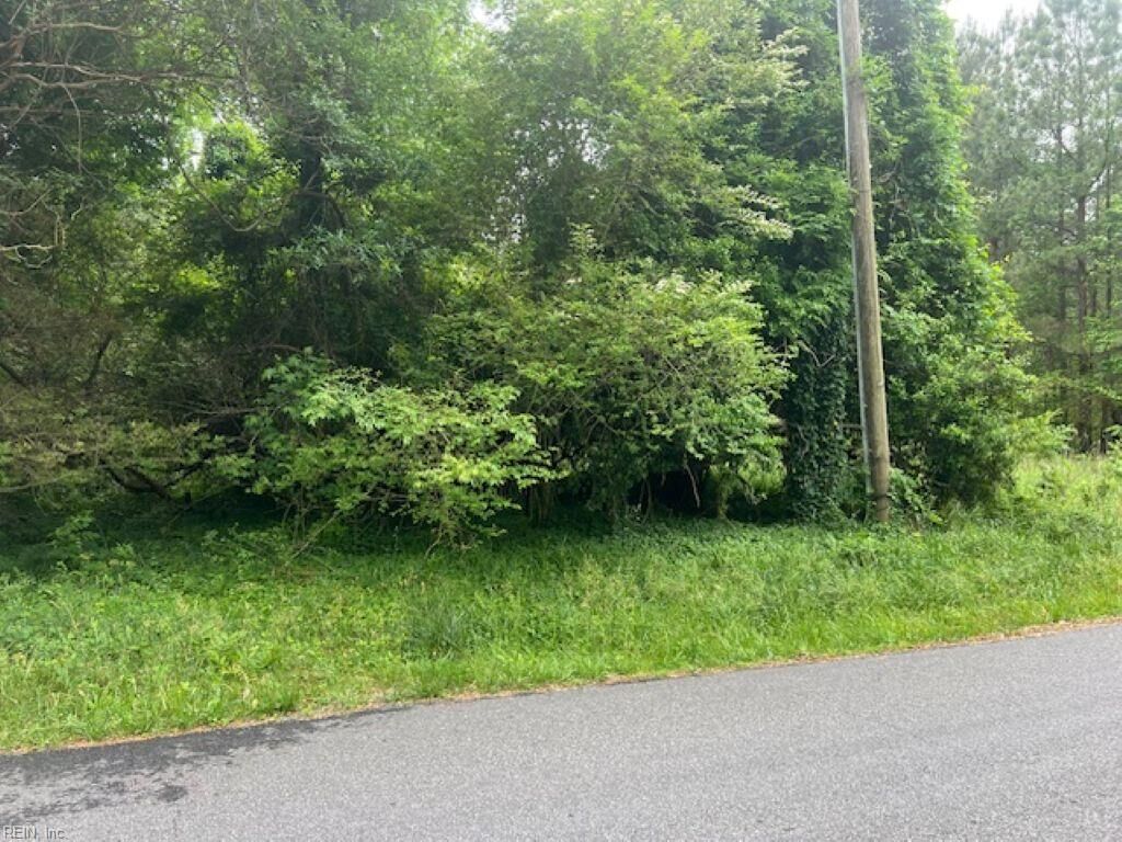 Property Photo: 1 Acre Mansion Ave VA 23899