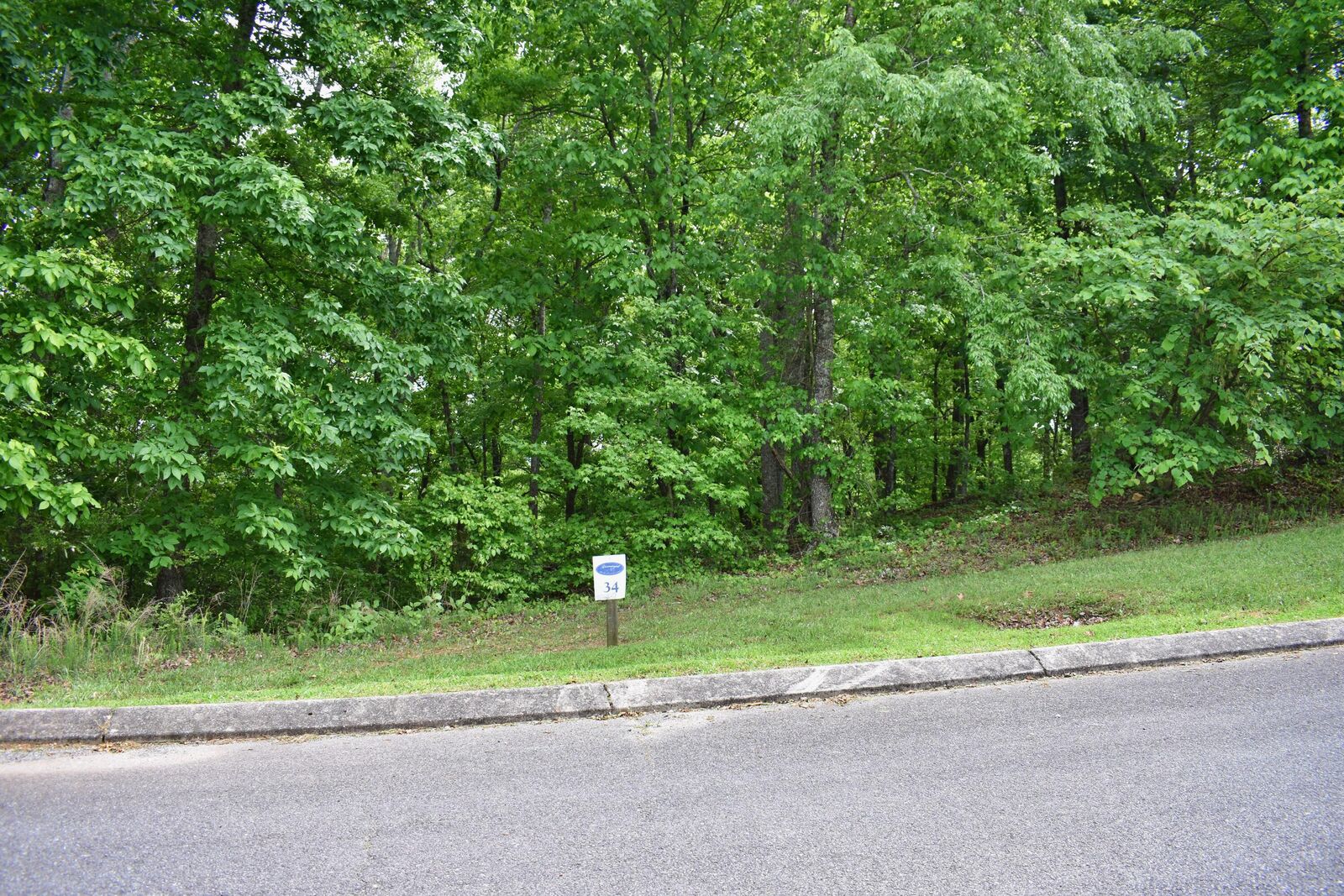 Property Photo:  450 Hidden Forest Trail  TN 37381 