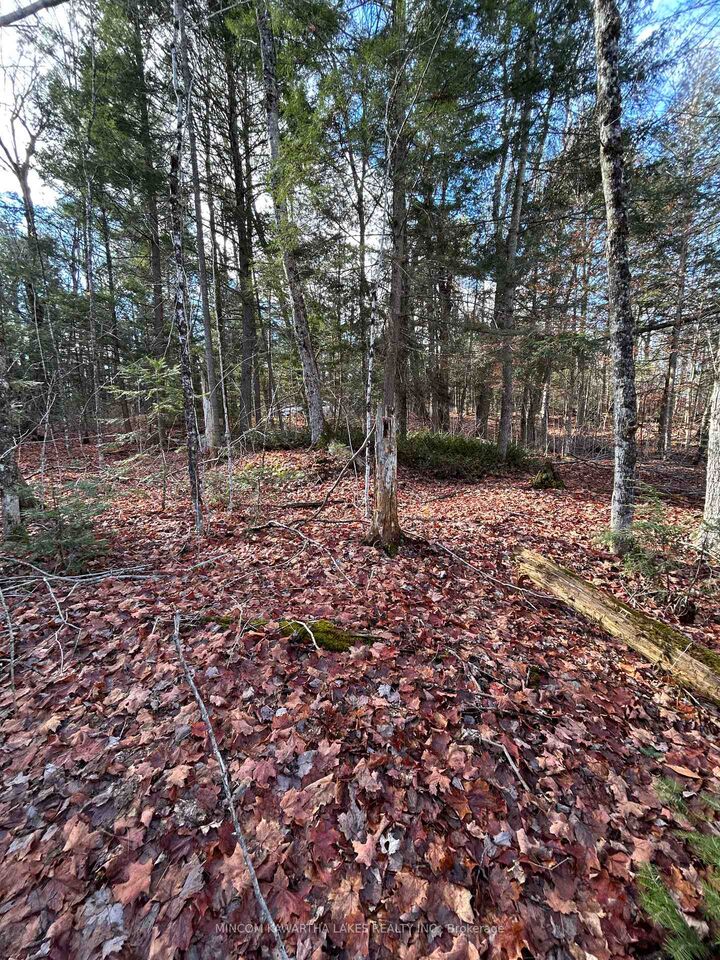 Property Photo:  0 Mill Lake Road  ON K0L 1A0 