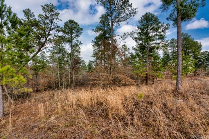 Property Photo:  19 Lookout Lane Lot 11  AR 71950 