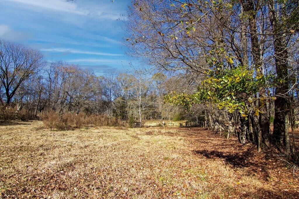 Property Photo:  Tract 2 - 0 St. Paul Church Road  GA 31826 