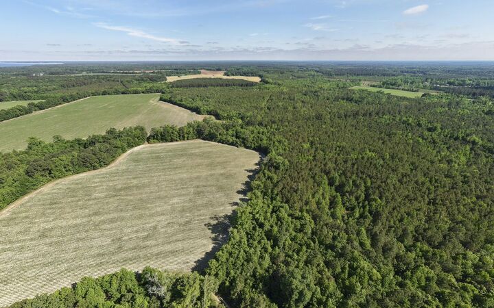 Property Photo:  155-Ac Westberry Drive  SC 29163 