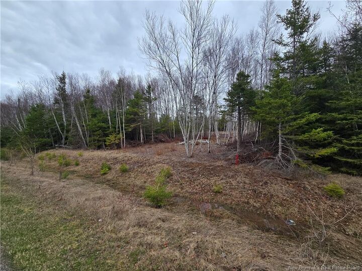 Property Photo:  1.5 Acres Chemin Pierre-à-Miguel  NB E8P 0E3 