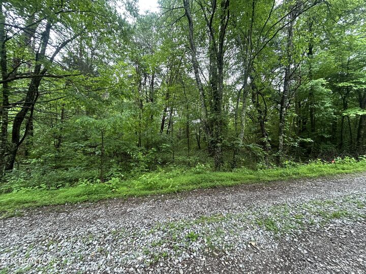 Property Photo:  Lot 105-108 Settlers Rd  TN 37748 