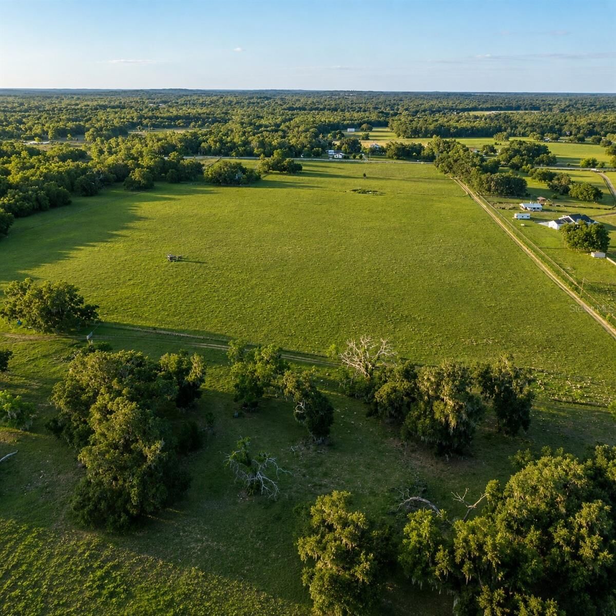 Property Photo:  Mondon Hill Road  FL 34601 