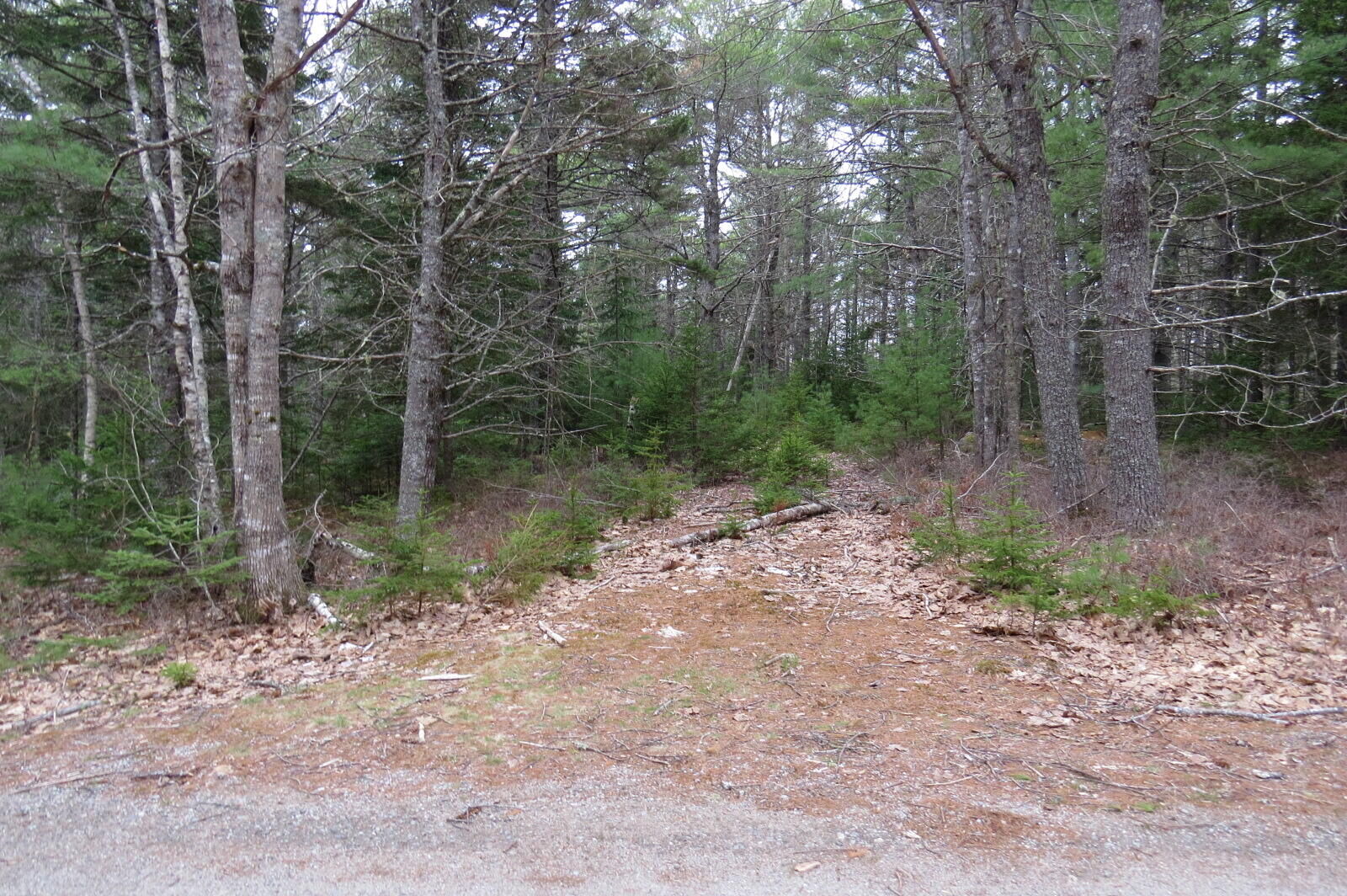Property Photo: 23 Porcupine Road ME 04664