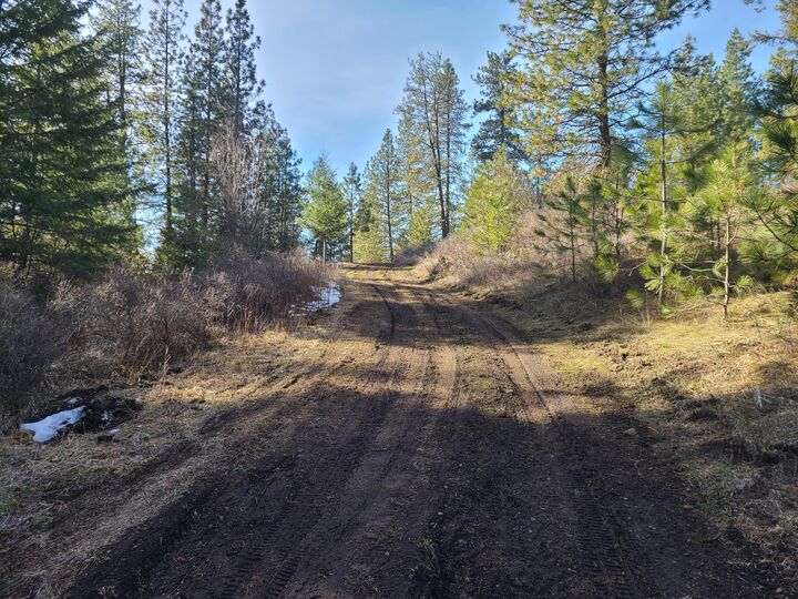 Property Photo:  2584 Bridgeman Rettinger Rd  WA 99141 