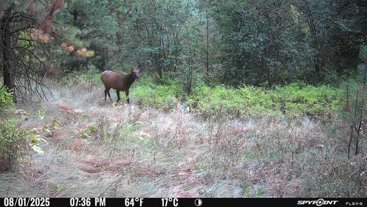Property Photo: 2584 Bridgeman Rettinger Rd WA 99141