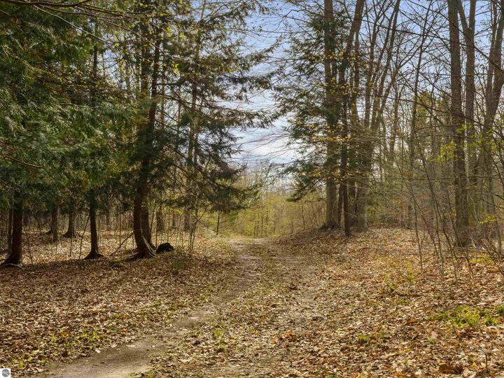 Property Photo: 00 Benzie Highway MI 49616
