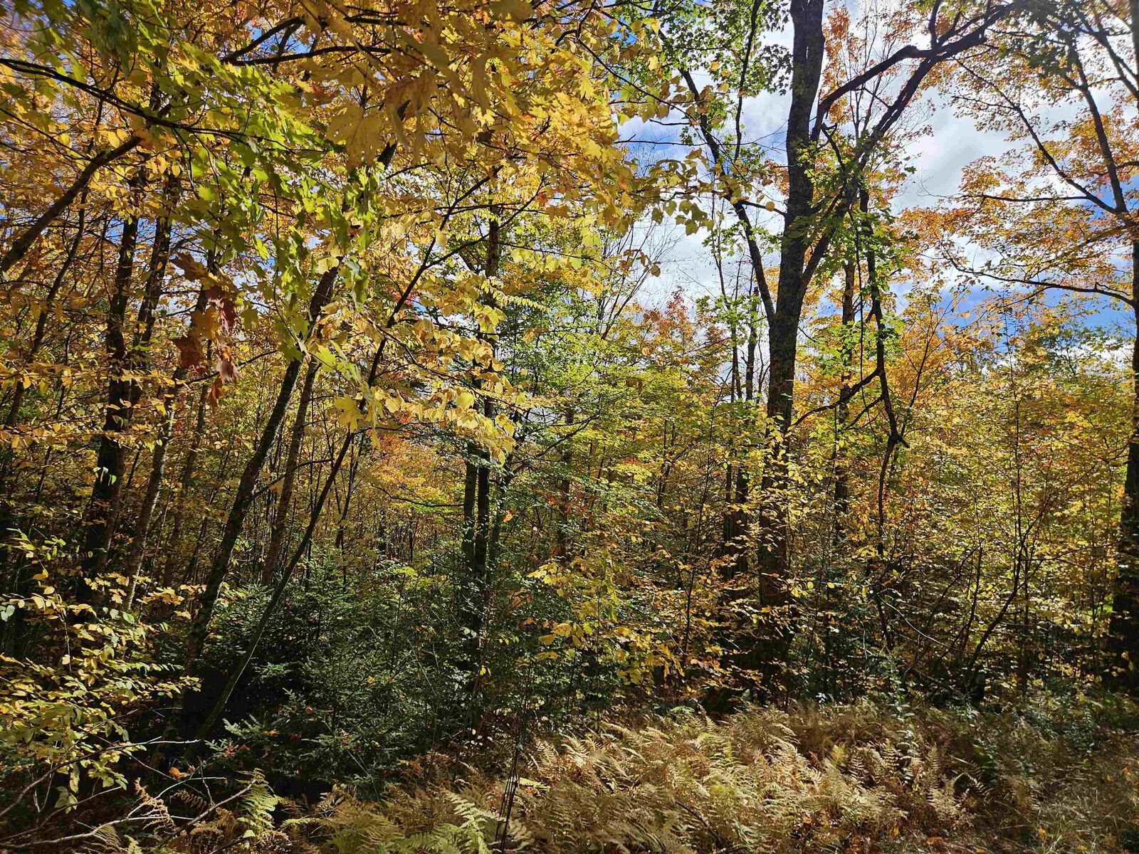 Property Photo:  Lot 26 Presidential View Lane  NH 03574 