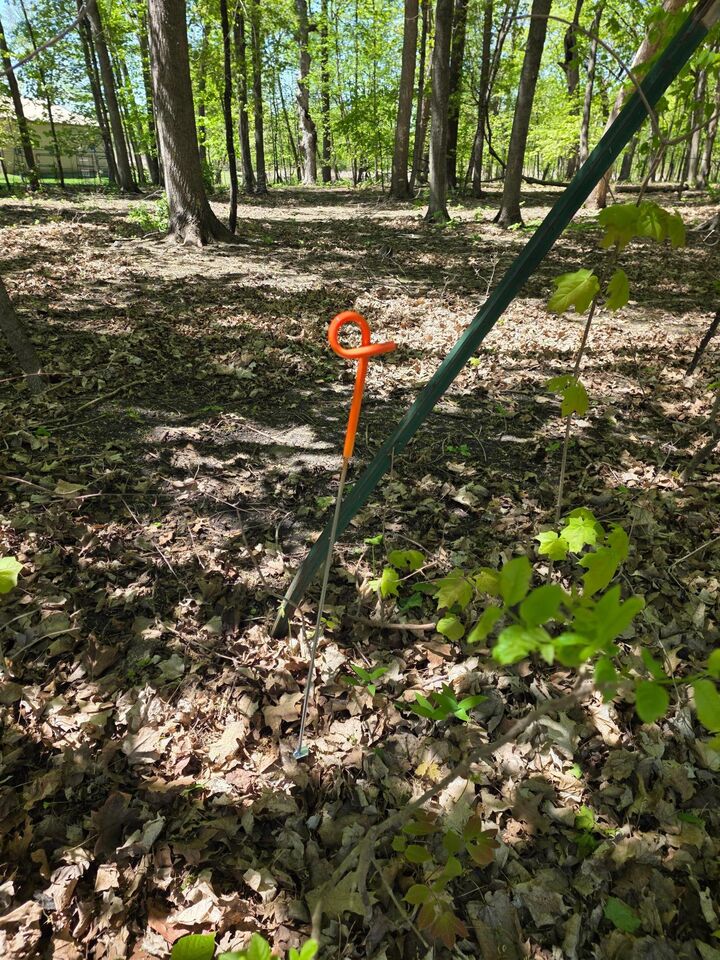 Property Photo:  208xx Parkfield Avenue  MN 55352 