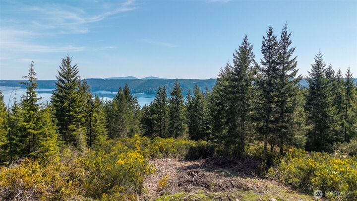 Property Photo:  778899 N Hamma Ridge Drive  WA 98555 