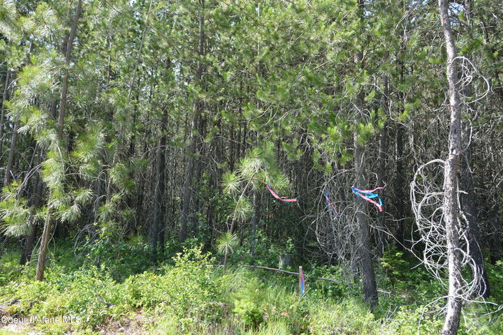Property Photo:  Nka N Sylvan Rd  ID 83801 