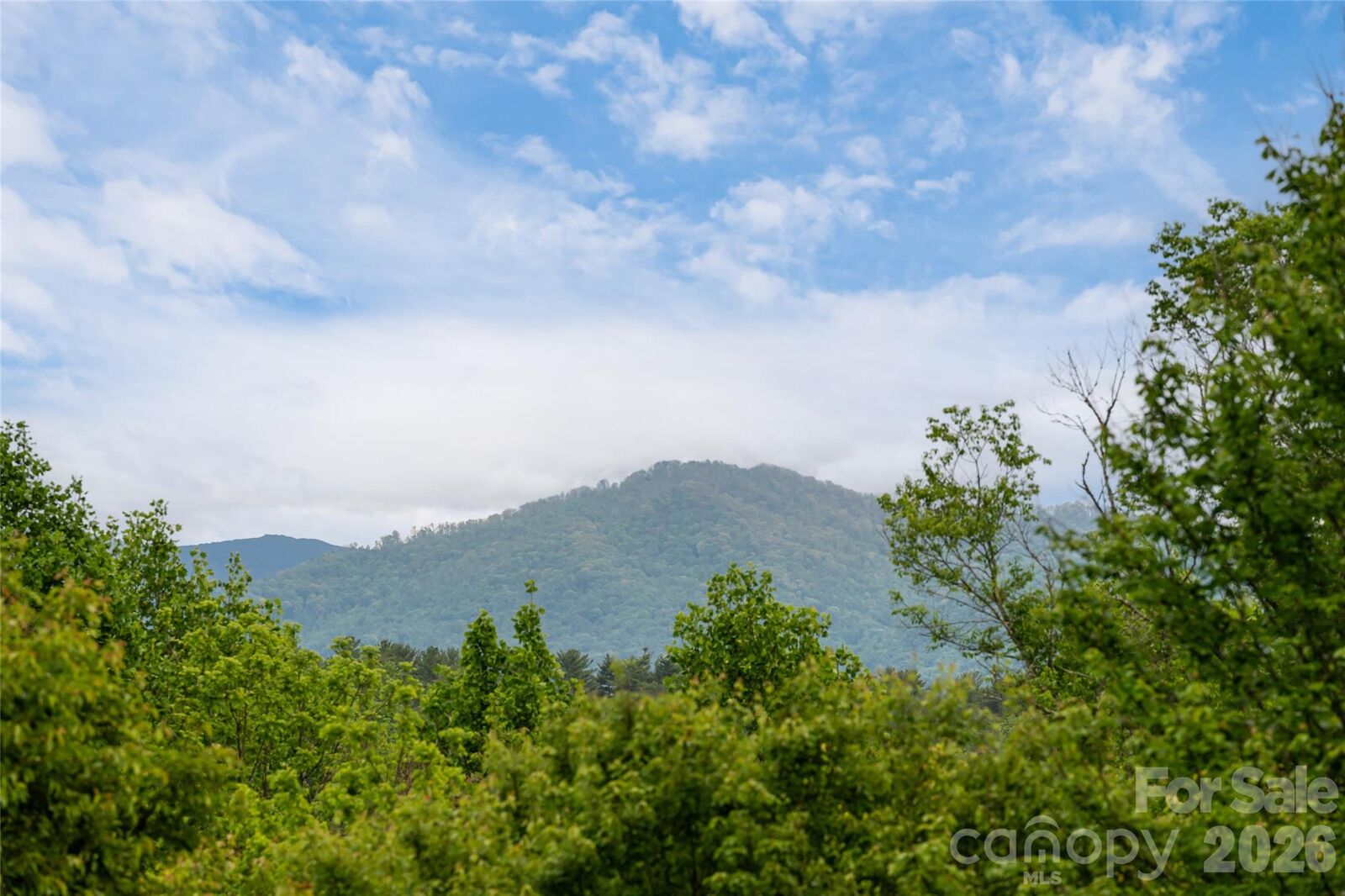 Property Photo: 56 Donna Lane NC 28701