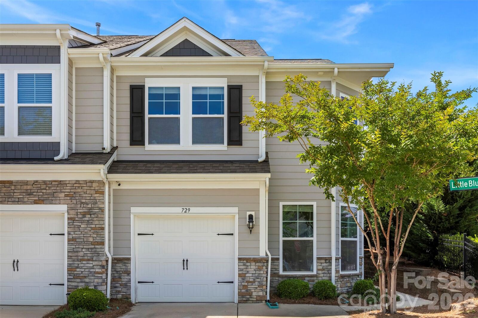Property Photo:  729 Little Bluestem Drive  SC 29710 