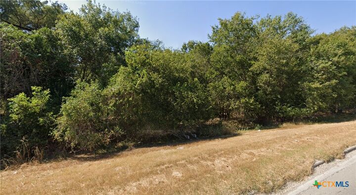 Property Photo:  703 Water Street  TX 78629 