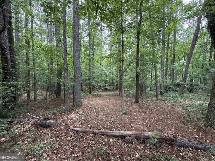 Property Photo:  0 Bollen Road  GA 30165 