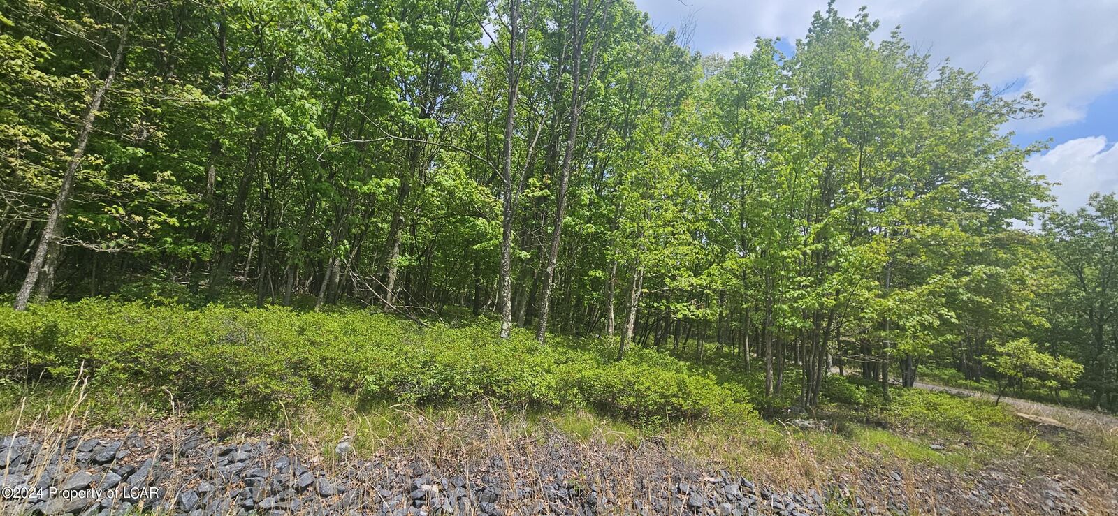 Property Photo: Lv Lot 052 Crnr Mountain Laurel & Dogwood Drive PA 18202