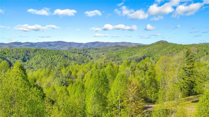 Property Photo:  5939 Big Laurel Road  NC 28615 