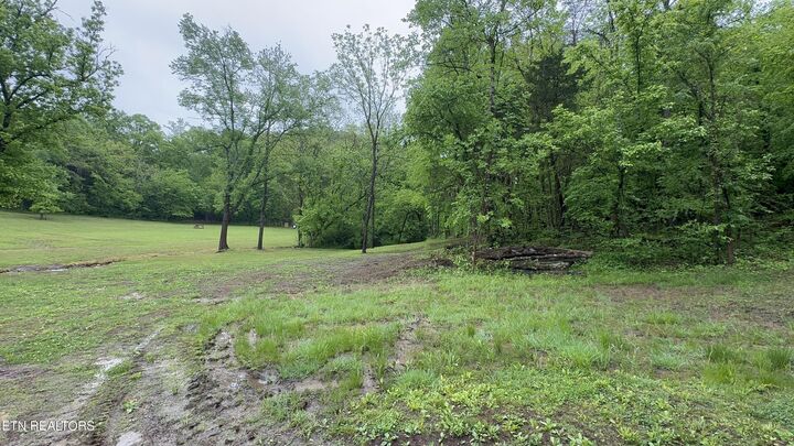 Property Photo:  427 & 439 Thorngrove Pike  TN 37764 