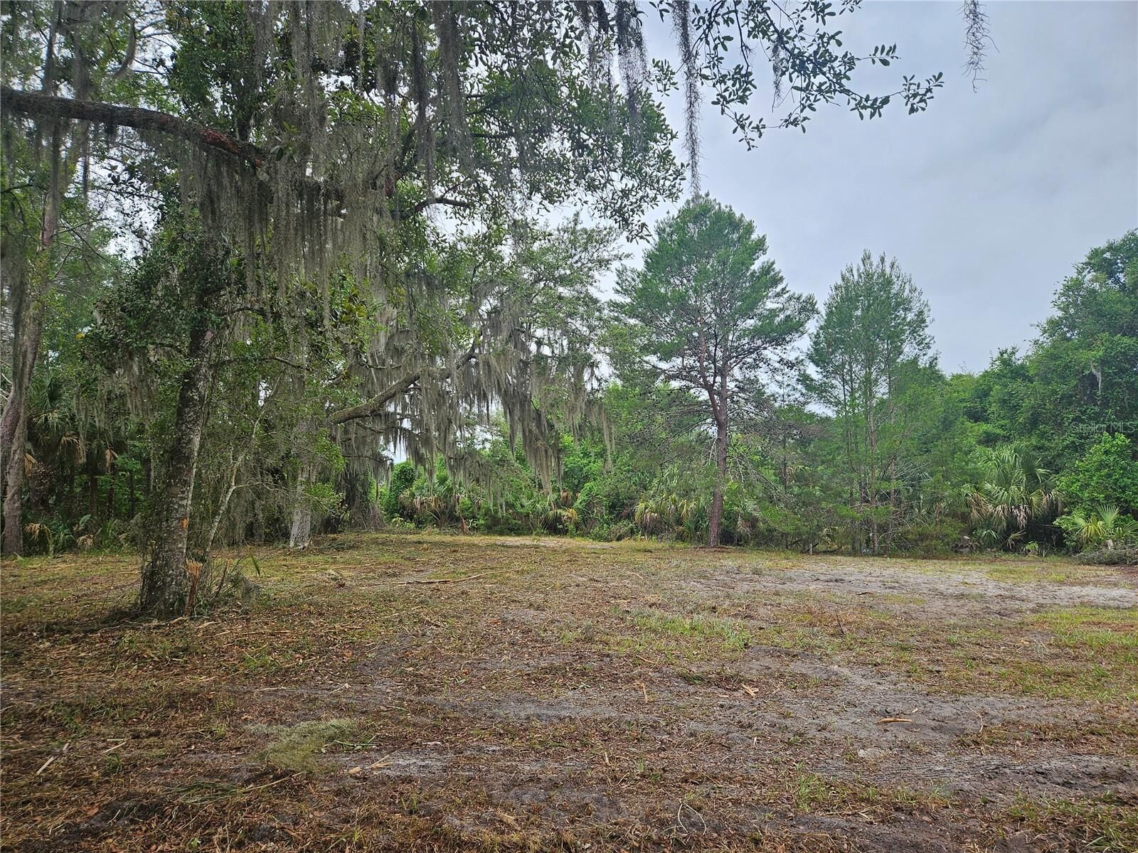 Property Photo:  00 Culver Way  FL 32732 
