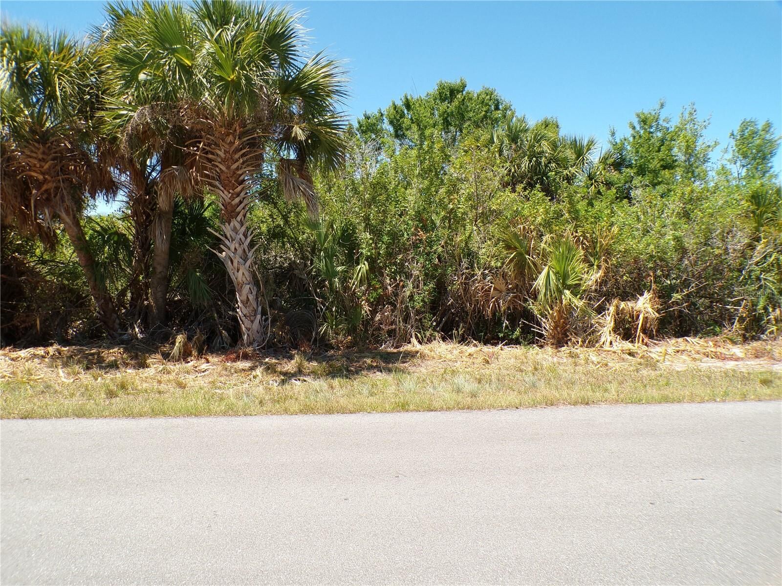 Property Photo:  12128 Van Gough Avenue  FL 33981 
