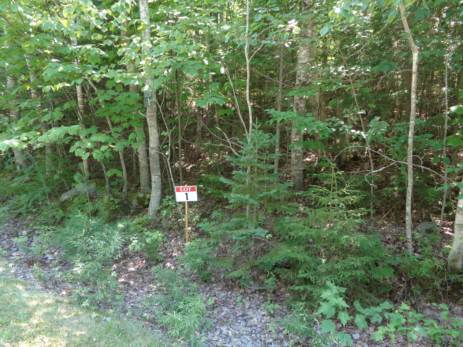 Property Photo: Lot 1 Bailey Mountain Road ME 04634