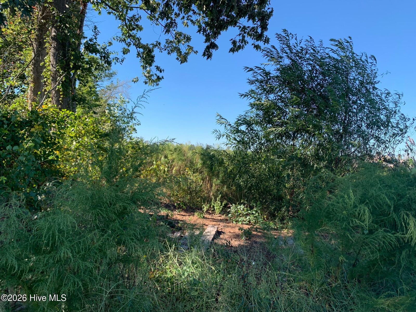 Property Photo:  Tbd Hendrix Lane  NC 27983 