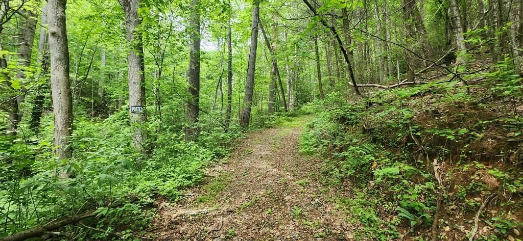 Property Photo:  13 Acres Goose Island Road  GA 30540 