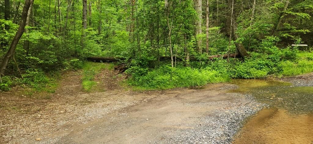 Property Photo:  13 Acres Goose Island Road  GA 30540 