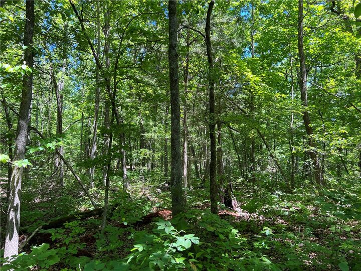 Property Photo:  Terrapin Road  AR 72601 