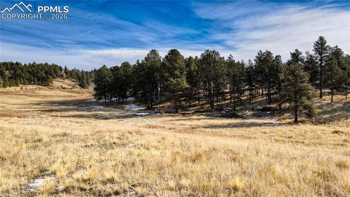 Property Photo:  150 High Pasture Road  CO 80816 