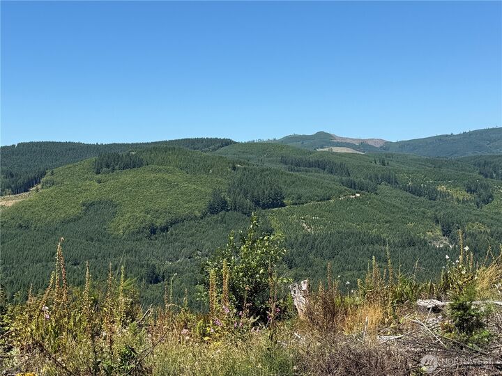 Property Photo:  3725  Little Kalama River Road E  WA 98584 