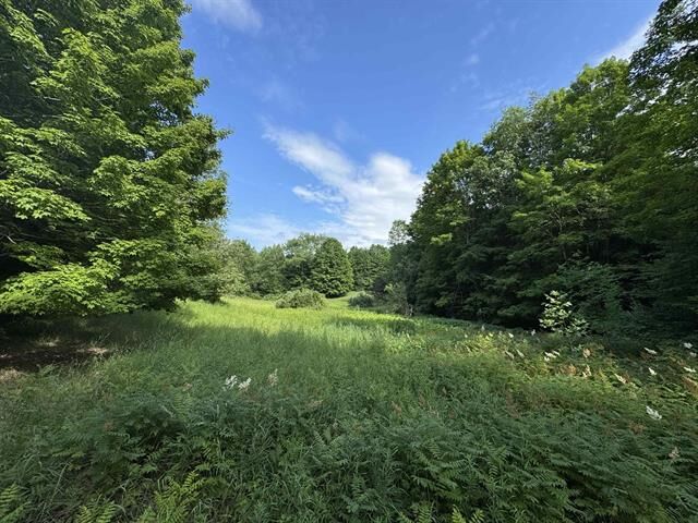 Property Photo:  00 W Beeman Road  MI 49630 