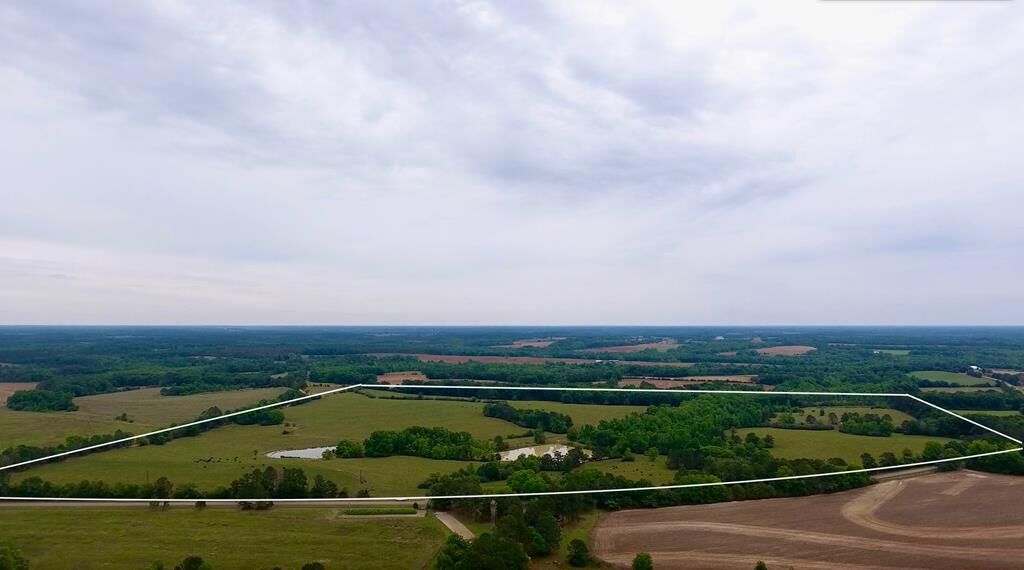 Property Photo:  0 County Road 661  AL 36477 