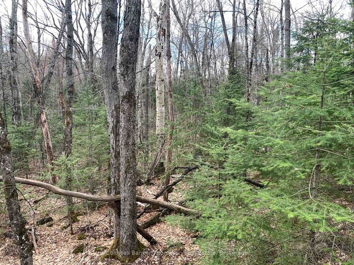 0 South Horn Lake Road — photo 1