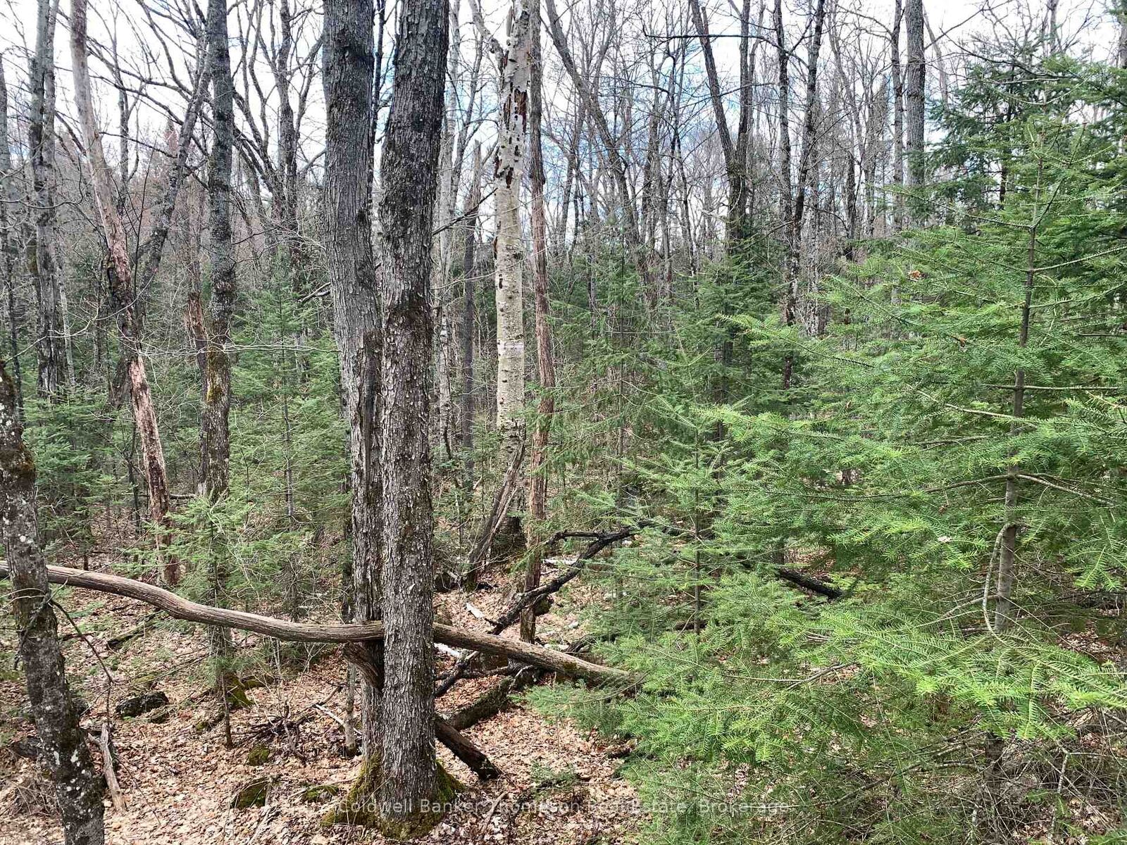 Property Photo:  0 South Horn Lake Road  ON P0A 1Z0 