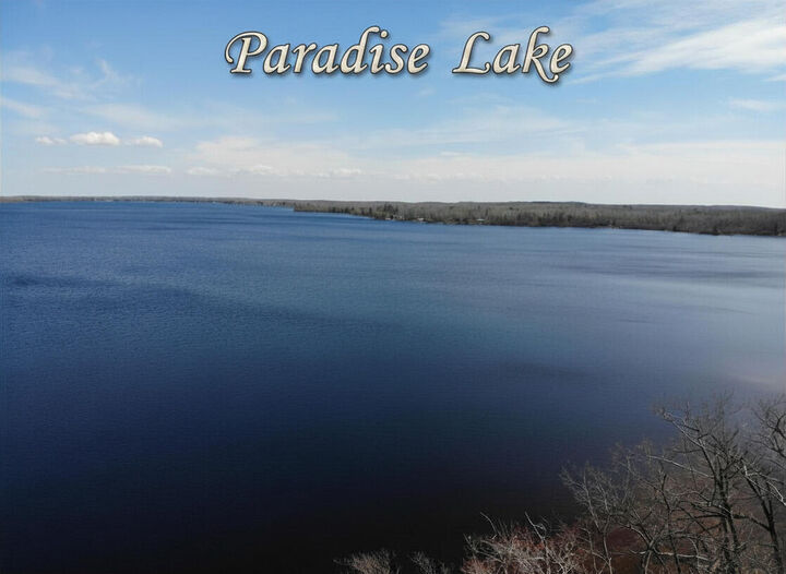 Property Photo:  6398 Paradise Trail  MI 49718 