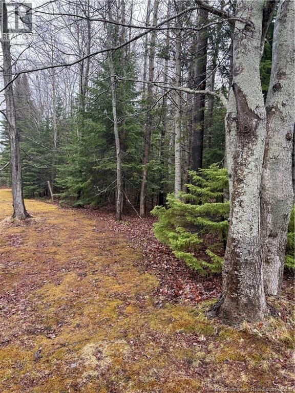 Property Photo:  Lot 98-2 Dundas Road  NB E4R 4L5 