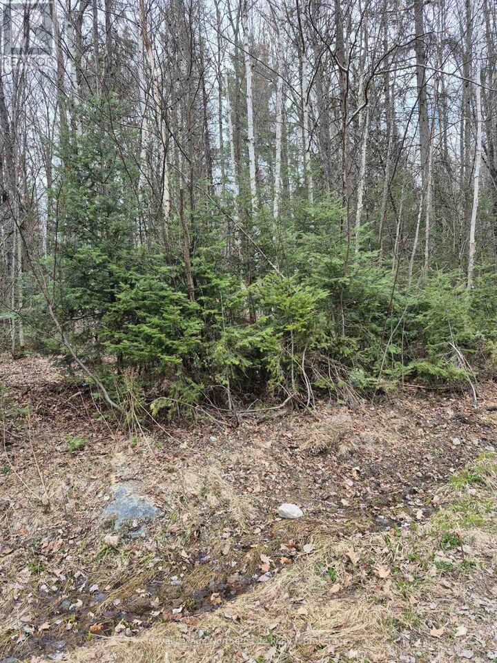 Property Photo:  Lot 5 Arbutus Trail  ON P0H 1V0 