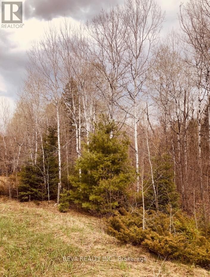 Property Photo:  348 Matawatchan Road  ON K0H 1K0 