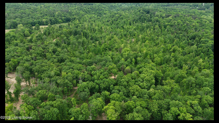 Property Photo:  89 Ac Cub Run Rd  KY 42729 