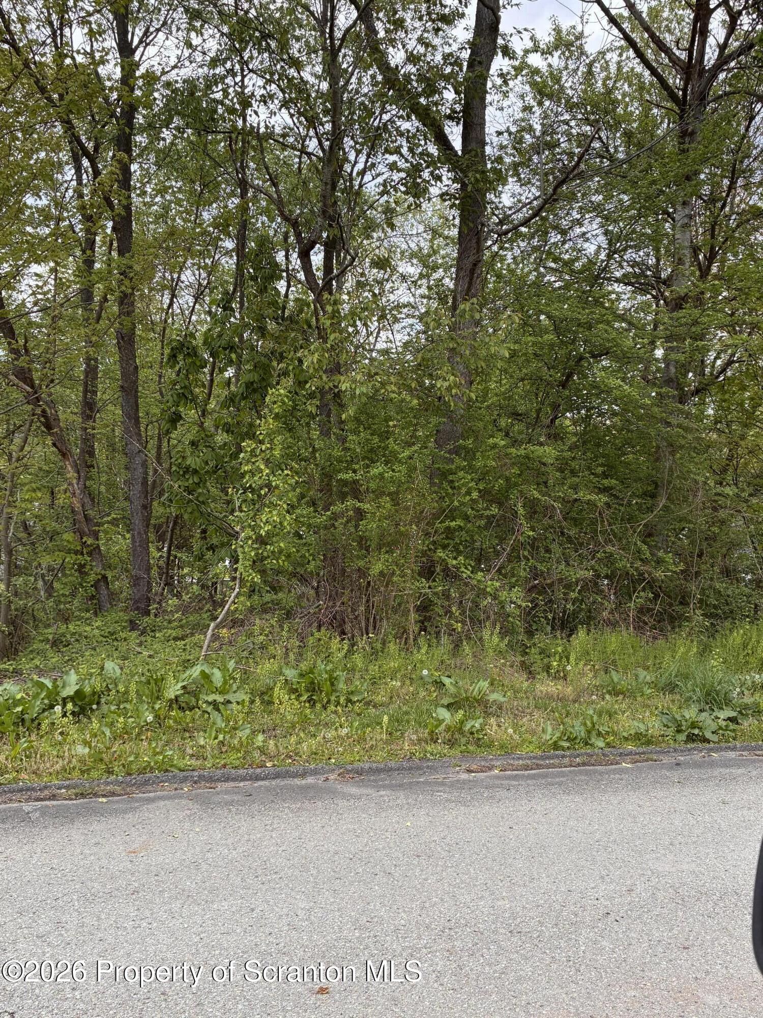 Property Photo:  Park Street  PA 18433 