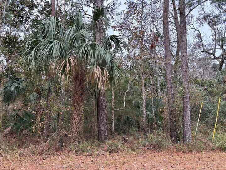 Property Photo:  Lot 12 Carolina Dove Road  FL 34614 