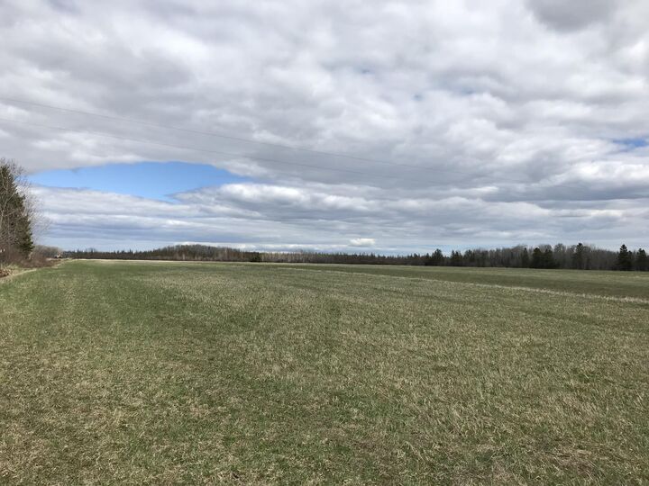 Property Photo:  000 S Clegg Road  MI 49774 