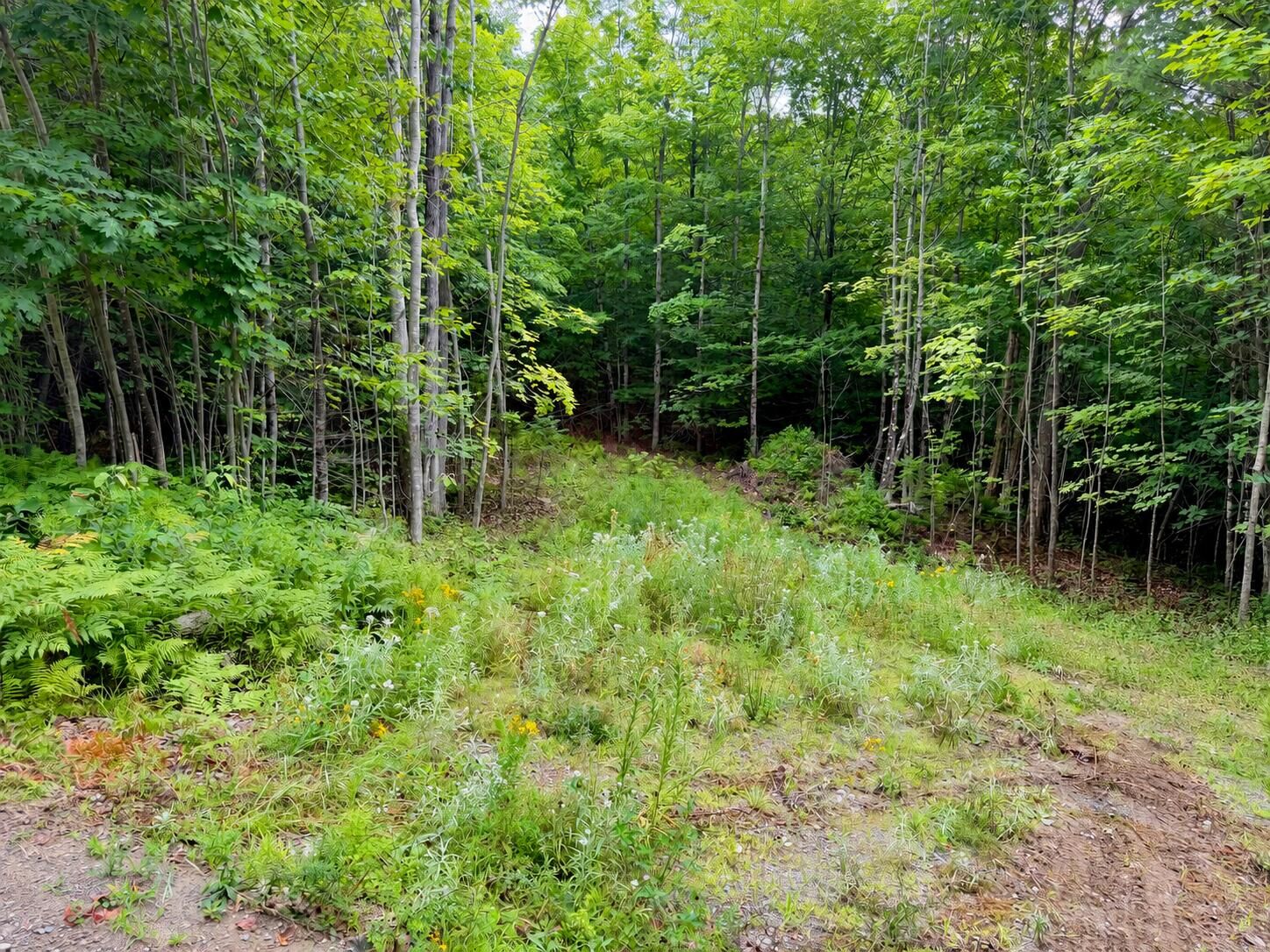 Property Photo: Lot 2 Mooseley Ridge Road ME 04966