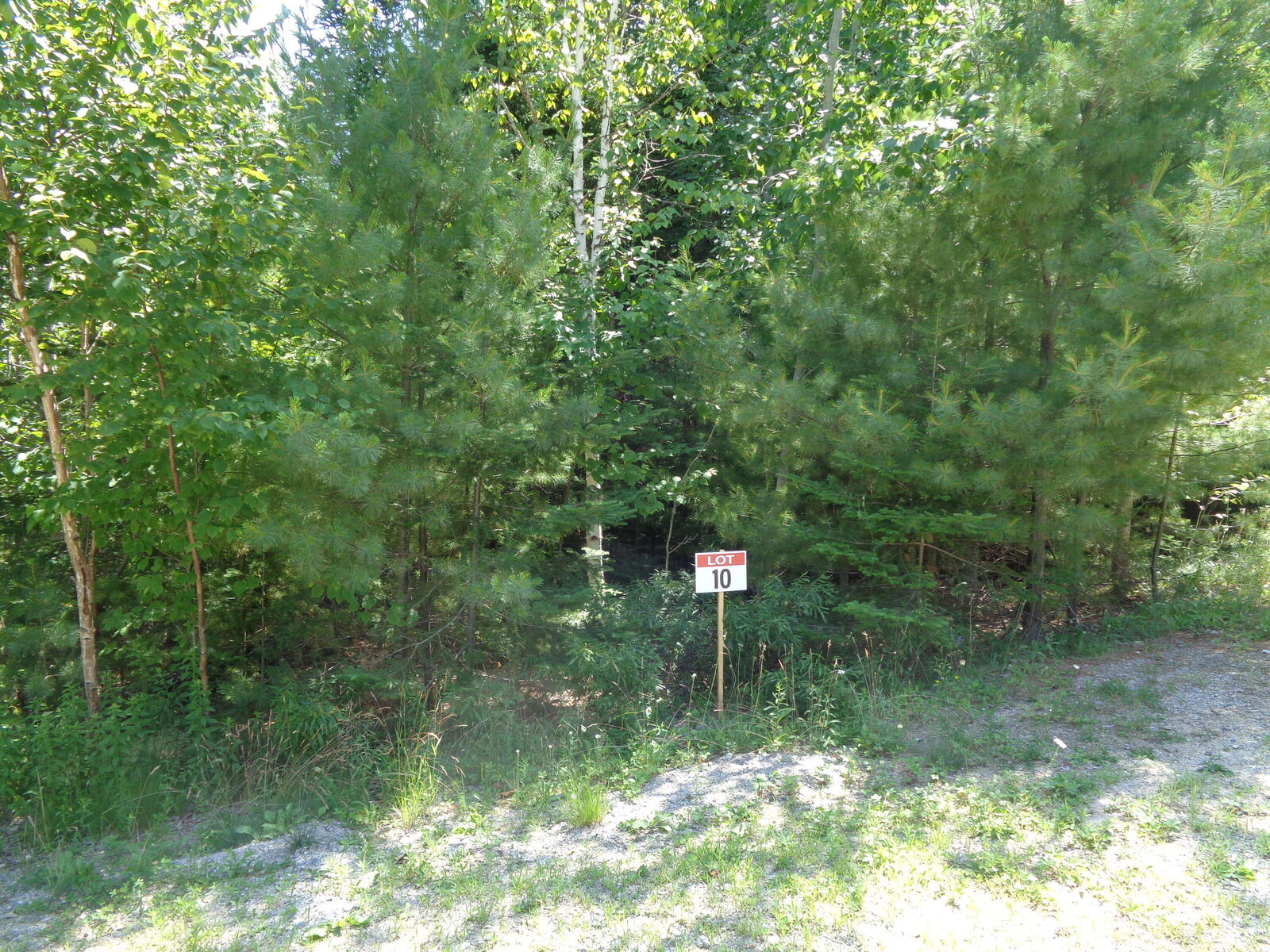 Property Photo: Lot 10 Bailey Mountain Road ME 04634